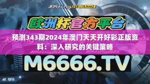 预测343期2024年澳门天天开好彩正版资料：深入研究的关键策略