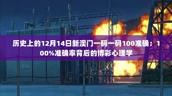 历史上的12月14日新澳门一码一码100准确：100%准确率背后的博彩心理学