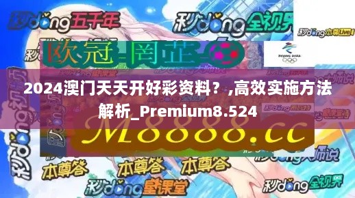 2024澳门天天开好彩资料？,高效实施方法解析_Premium8.524