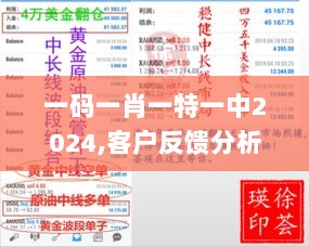 一码一肖一特一中2024,客户反馈分析落实_扩展版4.859