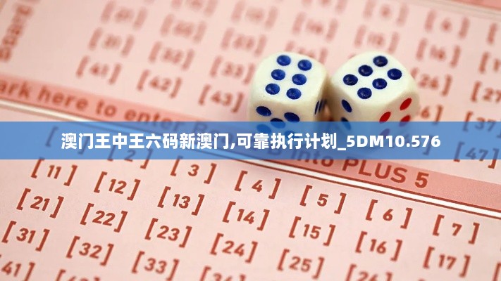 澳门王中王六码新澳门,可靠执行计划_5DM10.576