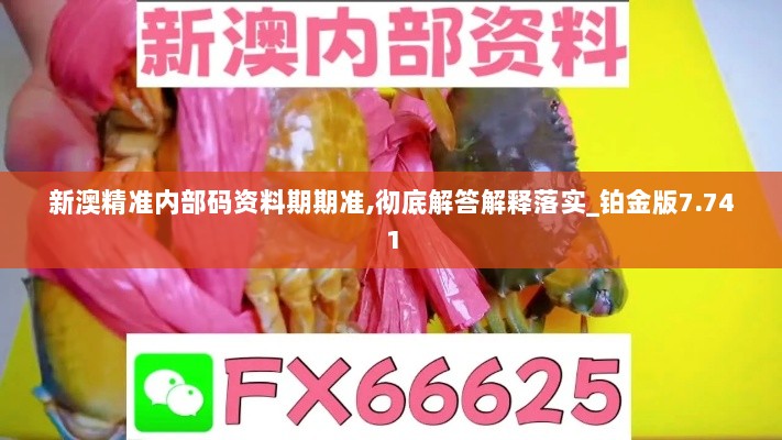 新澳精准内部码资料期期准,彻底解答解释落实_铂金版7.741