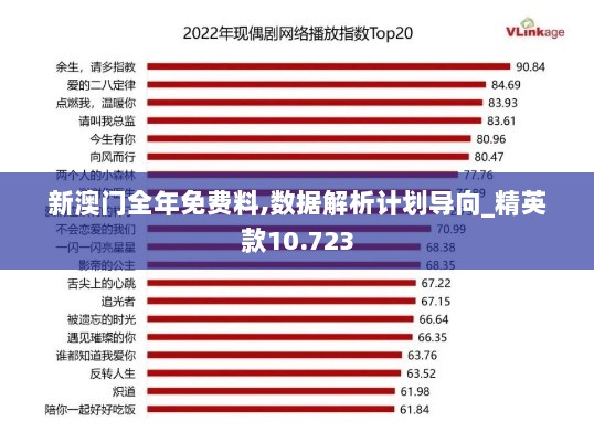 新澳门全年免费料,数据解析计划导向_精英款10.723