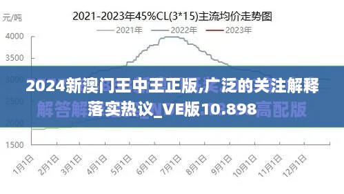 2024新澳门王中王正版,广泛的关注解释落实热议_VE版10.898