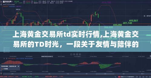 上海黄金交易所TD的日常，友情与陪伴的时光故事