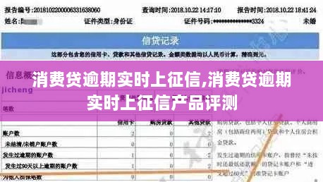 消费贷逾期实时上征信产品深度评测与解析