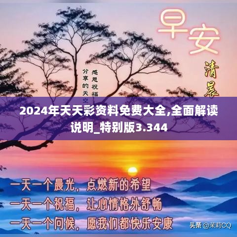 2024年12月15日 第53页