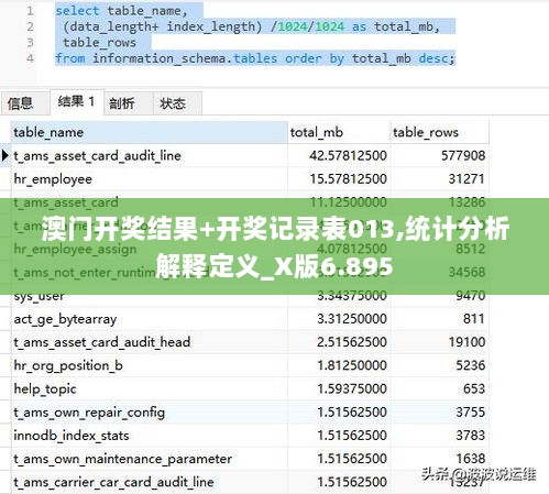 澳门开奖结果+开奖记录表013,统计分析解释定义_X版6.895