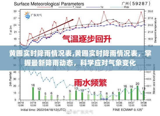 最新动态掌握