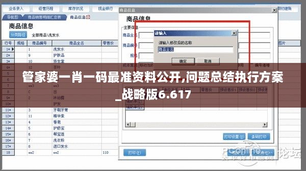 管家婆一肖一码最准资料公开,问题总结执行方案_战略版6.617