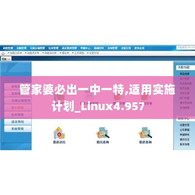 管家婆必出一中一特,适用实施计划_Linux4.957