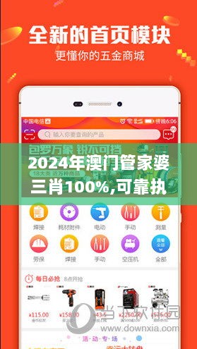 2024年澳门管家婆三肖100%,可靠执行策略_超值版4.485