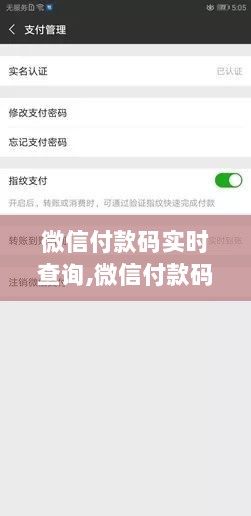 微信付款码实时查询，便捷支付背后的秘密及操作指南