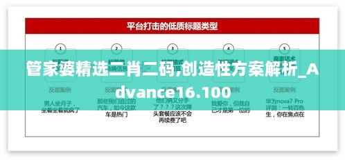 管家婆精选二肖二码,创造性方案解析_Advance16.100