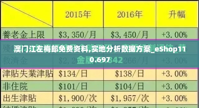 澳门江左梅郎免费资料,实地分析数据方案_eShop110.697