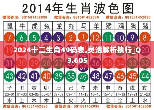 2024十二生肖49码表,灵活解析执行_Q3.605