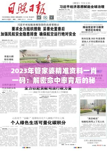 2023年管家婆精准资料一肖一码：解密命中率背后的秘密