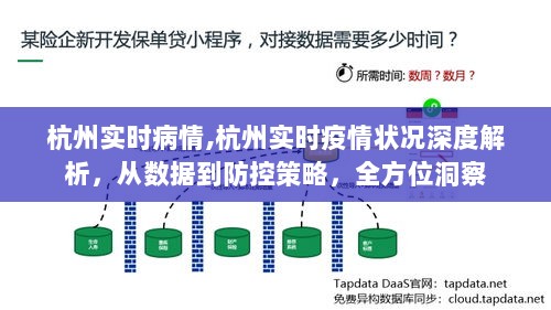 杭州疫情深度解析，实时数据与防控策略全方位洞察