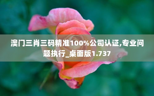 澳门三肖三码精准100%公司认证,专业问题执行_桌面版1.737