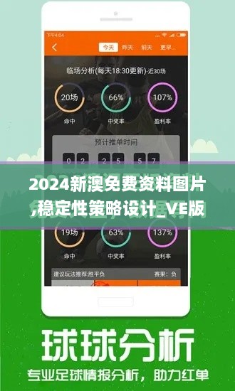 2024新澳免费资料图片,稳定性策略设计_VE版3.859