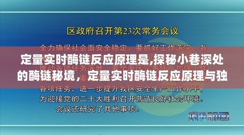 定量实时酶链反应原理，探秘小巷深处的酶链秘境与独特美食体验之旅