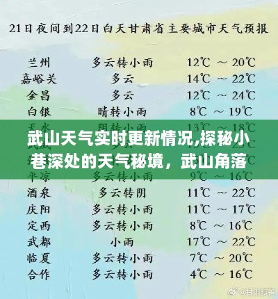 武山天气实时更新，探秘小巷深处的气象风情小店