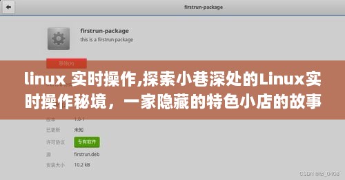 探索Linux实时操作秘境，特色小店的故事