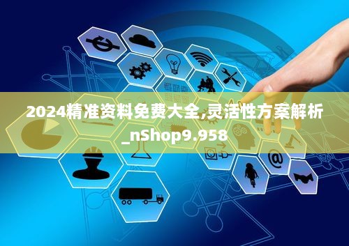 2024精准资料免费大全,灵活性方案解析_nShop9.958