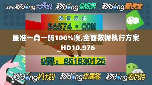 最准一肖一码100%噢,全面数据执行方案_HD10.976