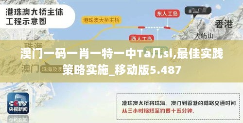 澳门一码一肖一特一中Ta几si,最佳实践策略实施_移动版5.487