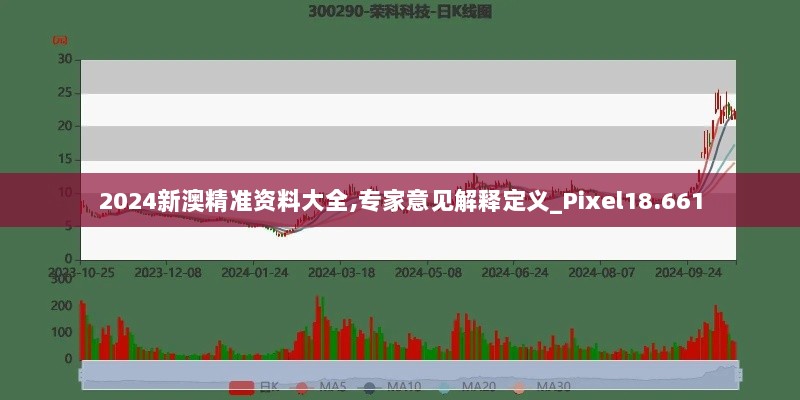 2024年12月16日 第65页