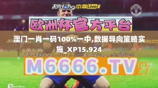 澳门一肖一码100%一中,数据导向策略实施_XP15.924