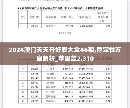 2024澳门天天开好彩大全46期,稳定性方案解析_苹果款2.310