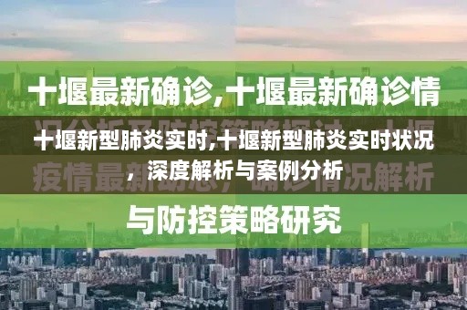 十堰新型肺炎实时状况深度解析与案例分析报告