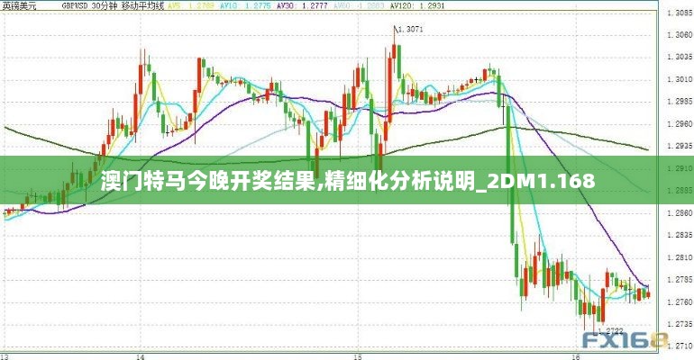 澳门特马今晚开奖结果,精细化分析说明_2DM1.168