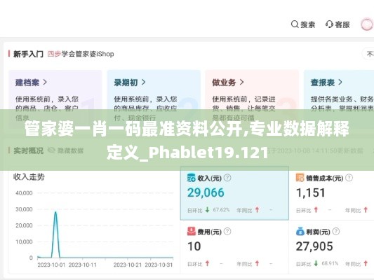 管家婆一肖一码最准资料公开,专业数据解释定义_Phablet19.121