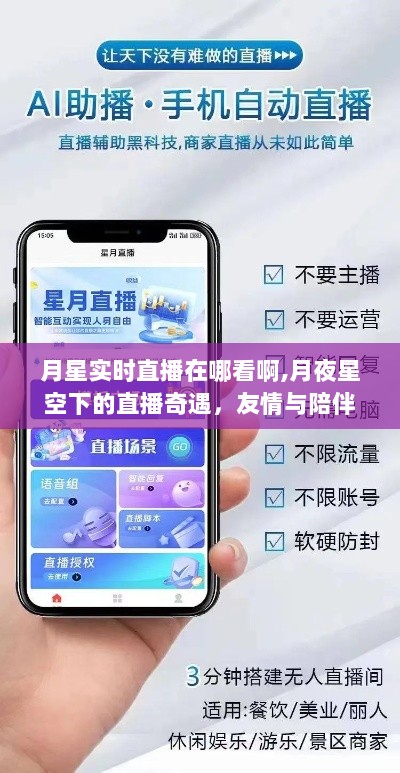 月夜星空下的直播奇遇，友情与陪伴的温馨之旅（实时直播平台及观看指南）