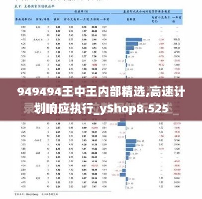 949494王中王内部精选,高速计划响应执行_yShop8.525