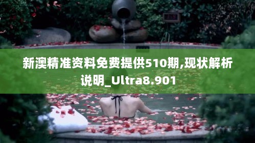 新澳精准资料免费提供510期,现状解析说明_Ultra8.901