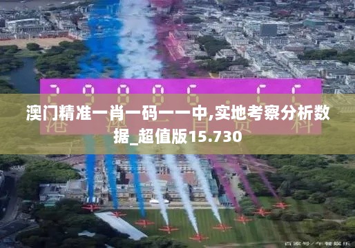 澳门精准一肖一码一一中,实地考察分析数据_超值版15.730