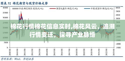 棉花市场实时行情与信息解析，探寻产业脉络，洞察行情变迁