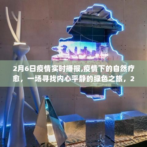 疫情下的自然疗愈，寻找内心平静的绿色之旅 2月6日疫情实时播报