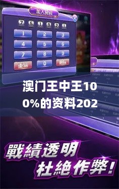 澳门王中王100%的资料2024年,完整的执行系统评估_游戏版1.130