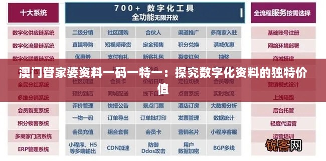 澳门管家婆资料一码一特一：探究数字化资料的独特价值