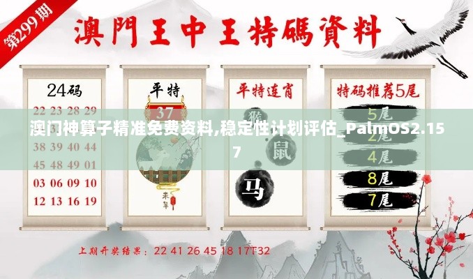 澳门神算子精准免费资料,稳定性计划评估_PalmOS2.157