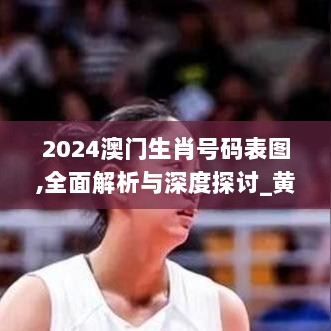 2024澳门生肖号码表图,全面解析与深度探讨_黄金版8.229