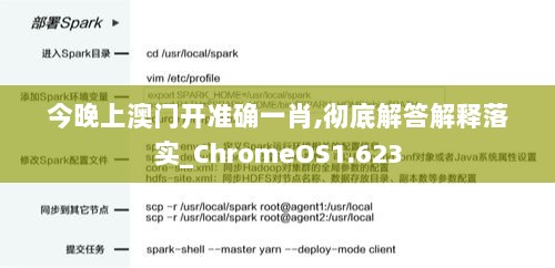 今晚上澳门开准确一肖,彻底解答解释落实_ChromeOS1.623