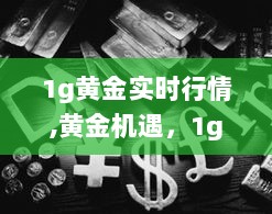 1g黄金背后的故事与实时行情，励志与黄金机遇的力量