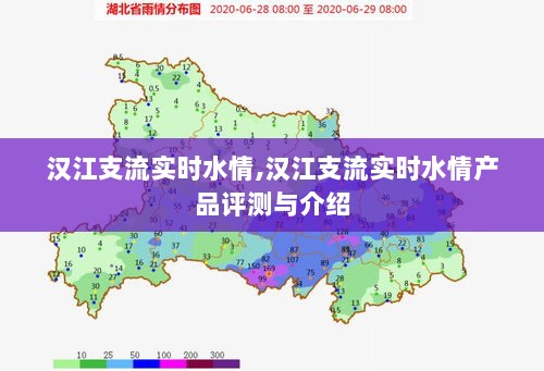 2024年12月16日 第8页