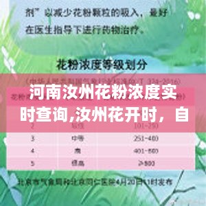 河南汝州花粉浓度背后的励志故事，花开时，自信与成就共舞探寻实时查询之旅